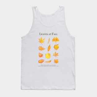 golden leaves in autumn Tank Top